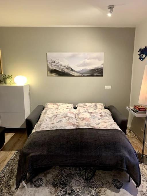 Cosy One Bedroom Apartment In Reykjavik Exterior photo